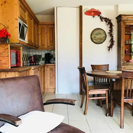 Coquet T2 Avec Terrasse Plein Sud, Au Centre De Samoens, Proche Commerces Et Ski-bus - Fr-1-629-79 Apartment Samoens